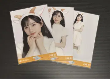 노기자카46 카와사키 사쿠라 곤조 머리띠