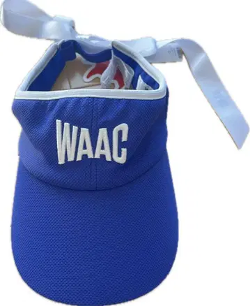 WAAC 로고 파랑 바이저
