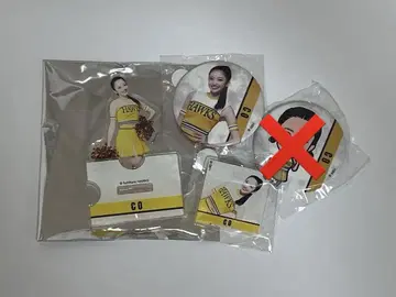 와카타카 가챠 허니즈 CO 짱 2025