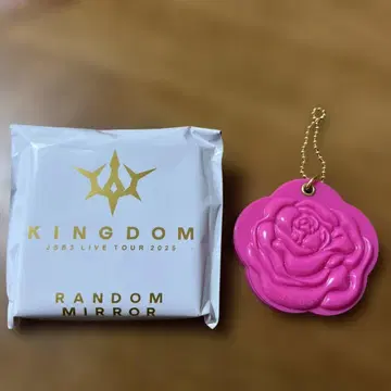KINGDOM JSB3 LIVE TOUR 2025 랜덤 거울