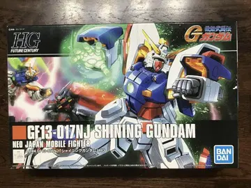 HG GF13-017NJ SHINING GUNDAM & G GUNDAM