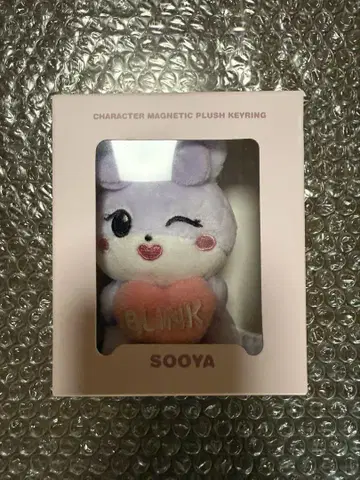 BLACKPINK DEADLINE 서울 콘서트 SOOYA