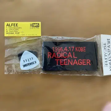 ALFEE 오리지널 피크 & 리스트 밴드 세트