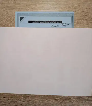 피오피오 스텔라워스 SS 페이퍼 단테
