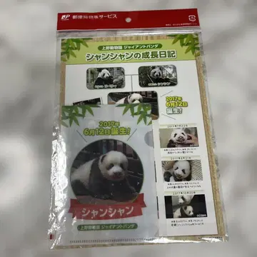 샨샨의 성장 일기 우에노 동물원 팬더 팬더