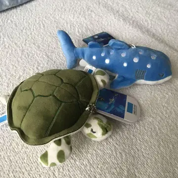 오키나와 챠라카이 수족관 진베이 상어와 거북이 마스코트