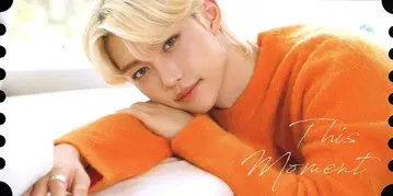 Stray Kids FELIX NACIFIC 콜라보 티켓 카드 ver9