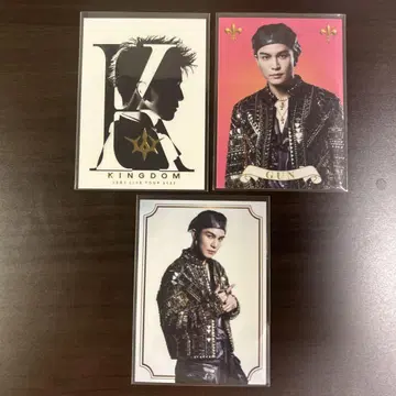 이와타 타카노리 KINGDOM 포토 카드 II 세트