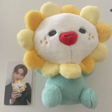 jo1 사토 케이코 Bira 봉제 인형 초기 트레이딩 카드