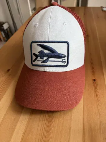 Patagonia 레어 캡 l.l.bean rrl 피그벨