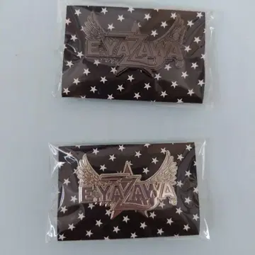 야자와 에이요시 핀 배지 2개 세트