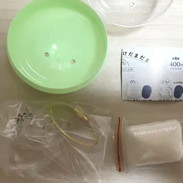 우리 아이의 케다마다마 노멀 #C-pla 한정판