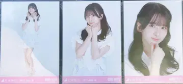 노기자카46 브로마이드 프릴 미니 스커트 스가하라 사츠키 컴프