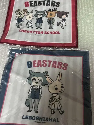BEASTERS 비스터즈 레고시 타월 세트 피나 루이 하루