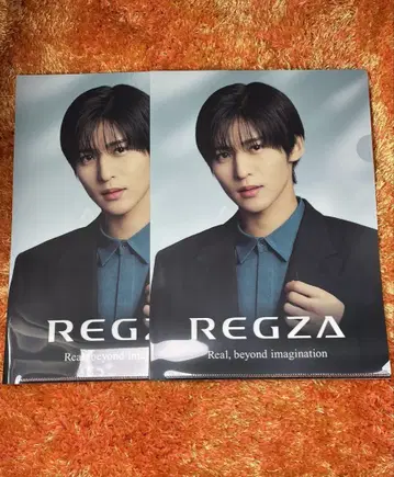REGZA 클리어 파일 2장