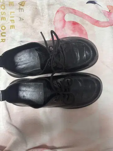 블랙 가죽 크로커다일 스타일 로퍼
