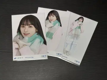 노기자카46 카와사키 사쿠라 2024.럭키백 겨울 코디