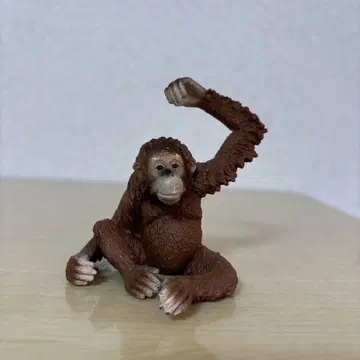 슐라이히 원숭이 침팬지 오라우탄