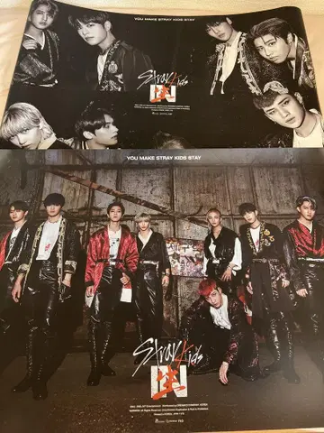 Stray Kids INLIFE IN 생 포스터