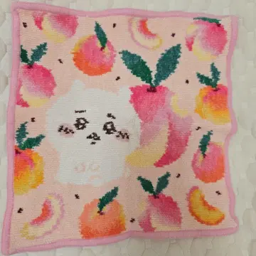 페이러 치이카와 (먼작귀)