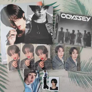 RIIZE Odyssey 앨범 라키드로 트레이딩 카드 쇼타로 세트