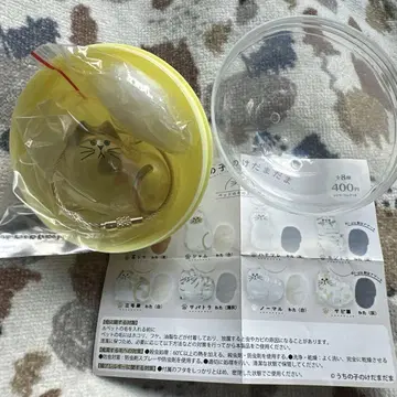 우리 집 고양이 정품 삼색 고양이 (화이트)