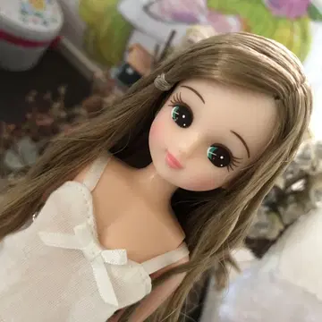 리카짱 캐슬 제
