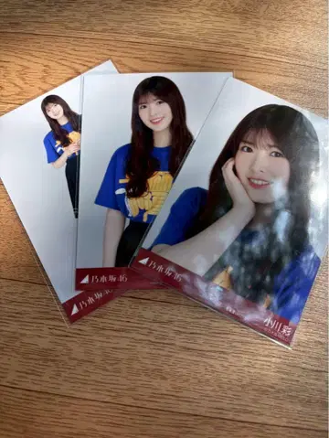노기자카46 브로마이드 홋카이도 라이브 T 오가와 아야 컴프