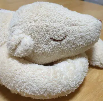 혼야라도 곰