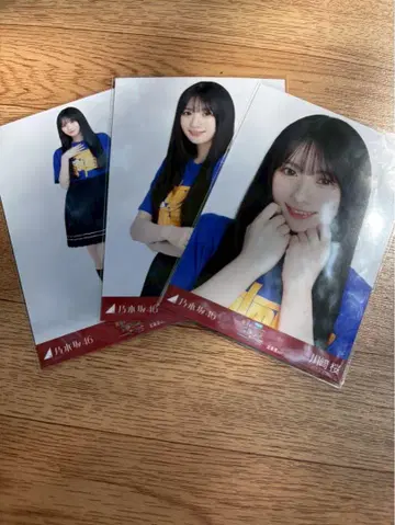 노기자카46 브로마이드 홋카이도 라이브 T 가와사키 벚꽃 컴프