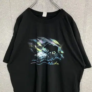 헤인즈 애니멀 풍경 프린트 알래스카 블랙 티셔츠 2XL 정도
