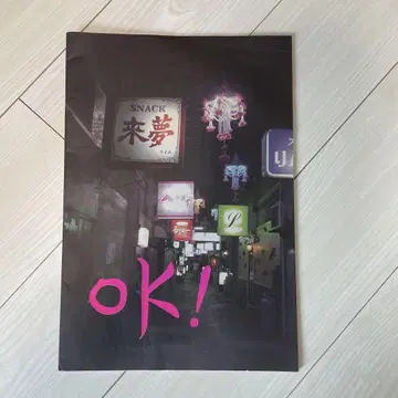 최정화 OK! 토와다 시 현대 미술관 도록