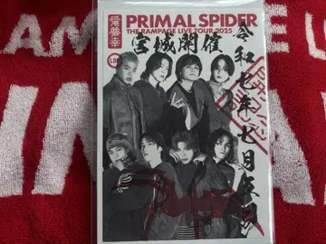THE RAMPAGE PRIMAL SPIDER 회장 한정판 고슈인 A