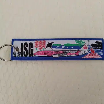 일본항공 ISG 플라이트 택