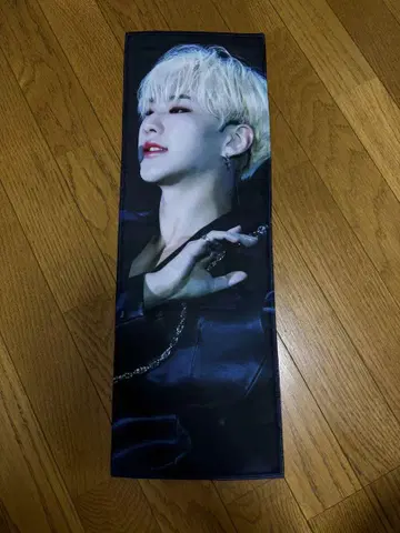 SEVENTEEN 세부치 호시 슬로건