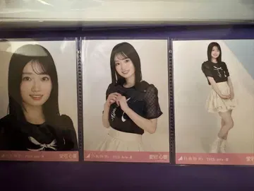 아타고 코코로 2025 프릴 미니 스커트 브로마이드 컴프 노기자카46