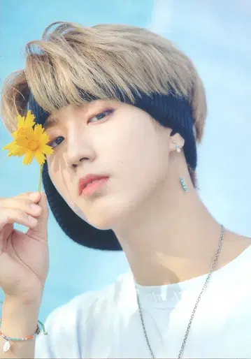 Stray Kids Han FC 2기 혜택 엽서 2기 파랑
