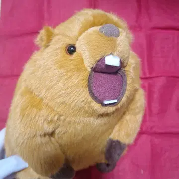 마모트 음성 봉제 인형