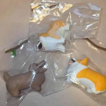 좋은 막대기를 겟한 개 코기 시바견 닥스훈트 3개 세트