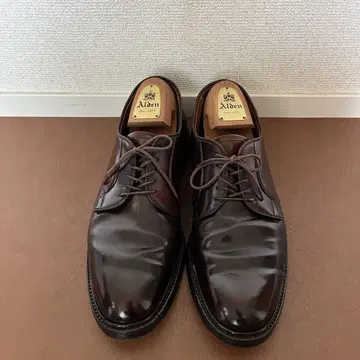 알든 알든 990 플레인토 코도반 9D