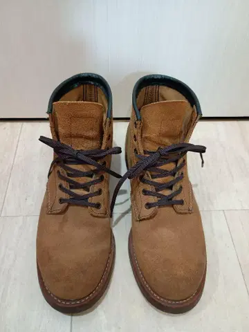 레드윙 Red wing