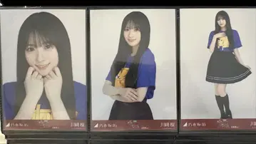 노기자카46 가와사키 벚꽃 홋카이도 라이브 T 컴프