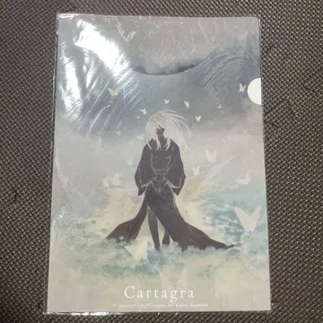 Innocent Grey 카르타그라 A4 특제 페이퍼 파일