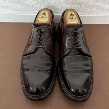Alden 알든 990 플레인토 코도반 8D