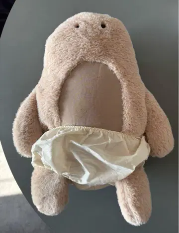 오판쯔 군 파우치 대