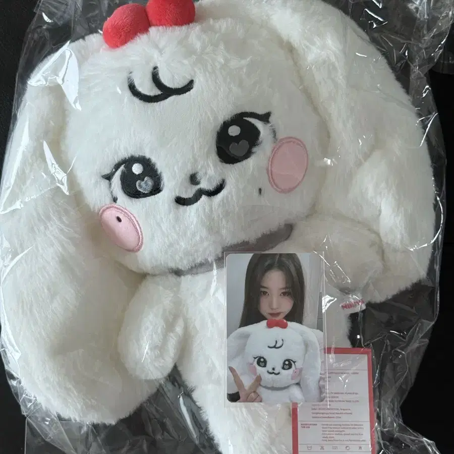 CHERRY minive 釜山 busan popup ポップアップ IVE | 아이브 Ive Minive School Pop-up Busan Limited Edition