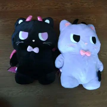 코아쿠마 마냐 2개 세트
