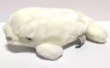 소리가 나는 화이트 돌고래 봉제 인형 CUTE 돌고래