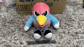 사가 토스 윈토스 군