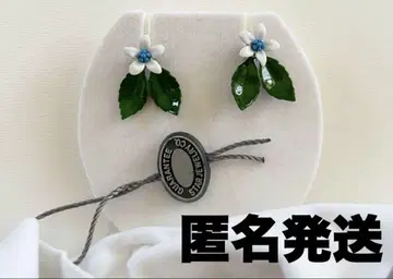 스타 주얼리 STAR JEWELR 70주년 한정판 귀걸이 백합 릴리